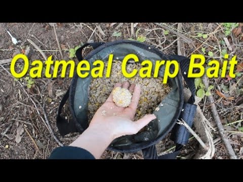 Most effective pack bait for carp: Oatmeal. Catching carp with oatmeal pack baits