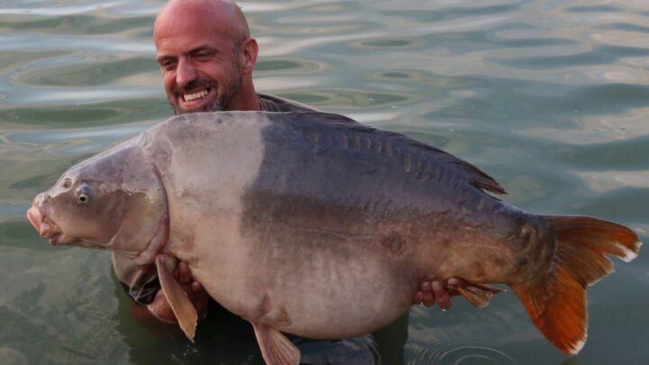 Lac Renard Carp Fishing- Amazing Lake in France