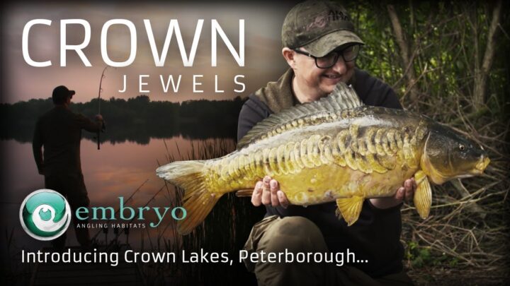 Embryo Crown Lakes - Peterborough