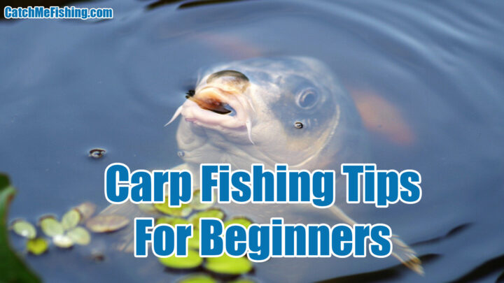 Carp Fishing Tips For Beginners