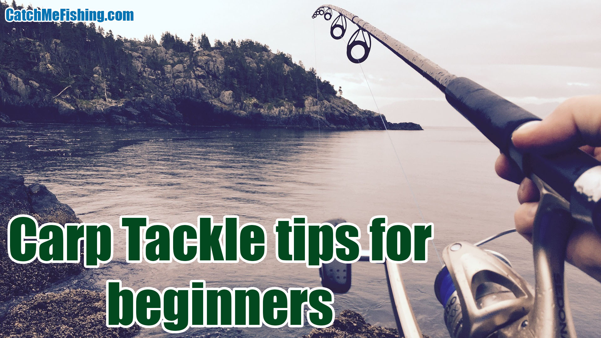 Carp tackle Tips For Beginners, carp rod, carp reel