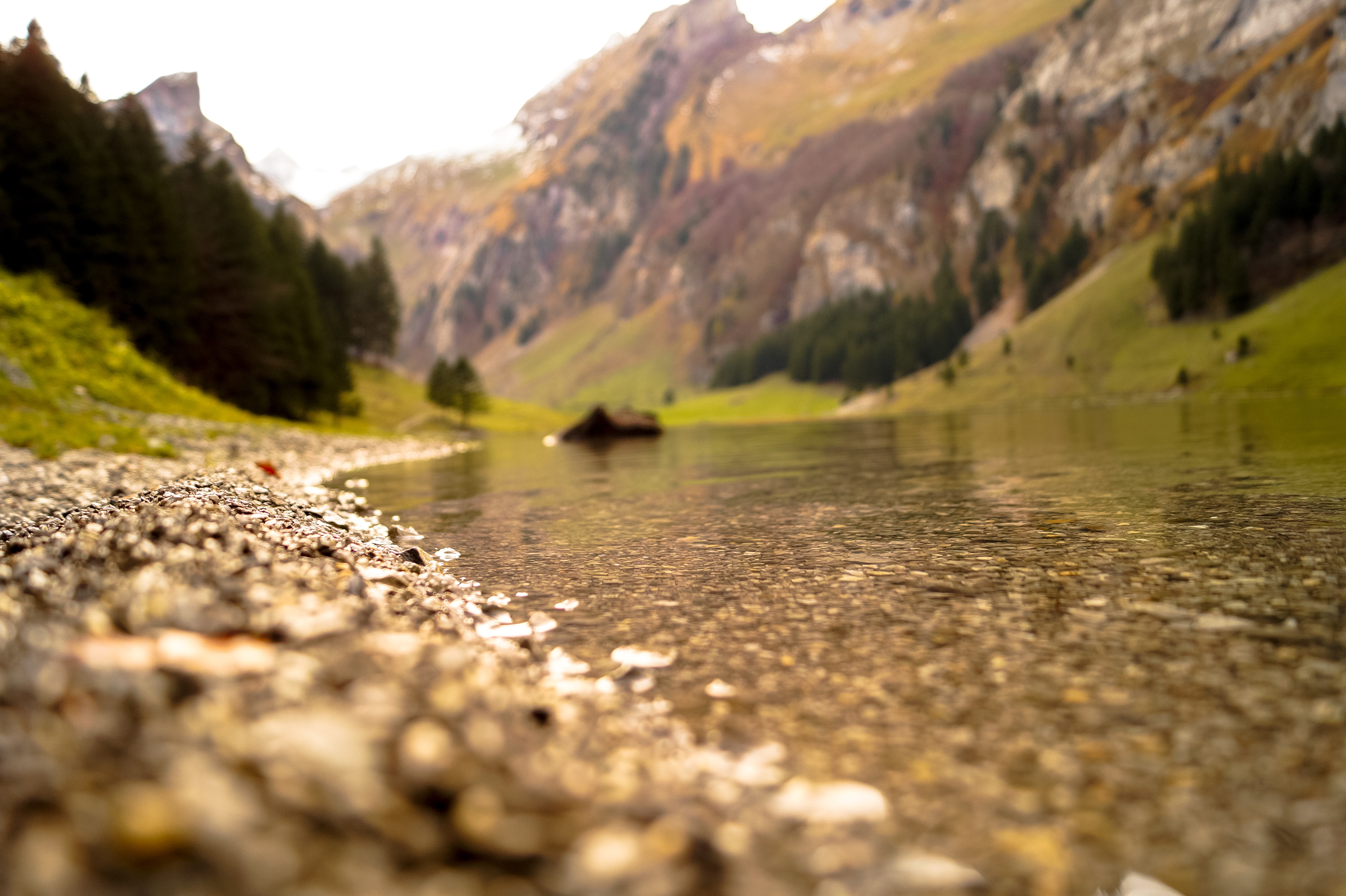 River fishing environment