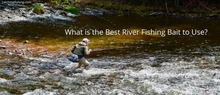 What is the best river fishing bait to use