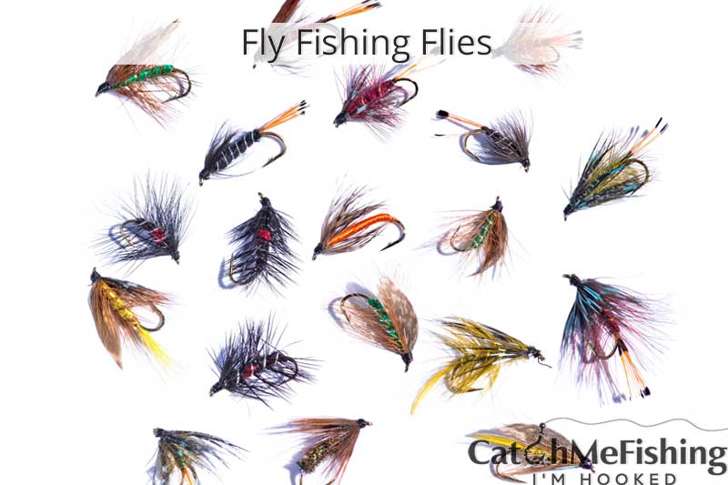 Fly fishing flies for beginners