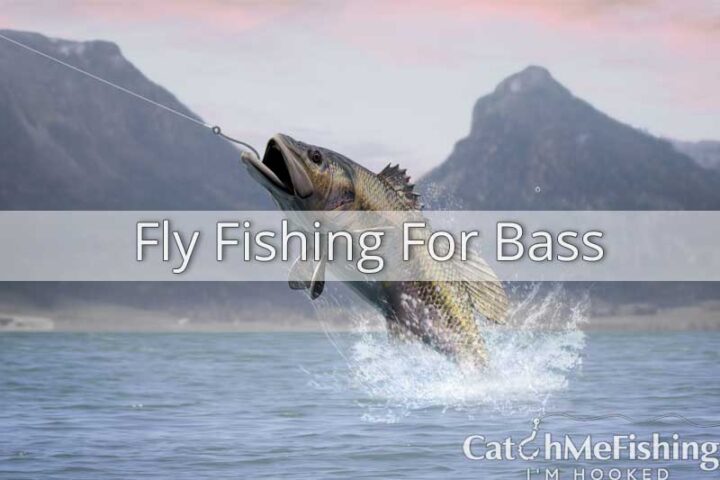 Fly fishing for bass, a guide on how to catch bass with fly fishing