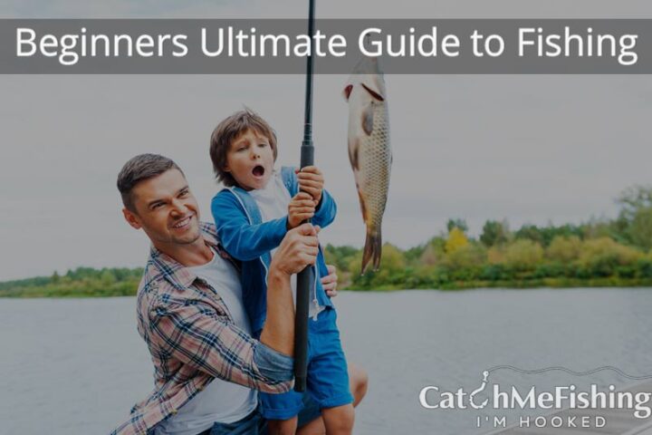 The Ultimate Guild to Fishing, Fishing for Beginners
