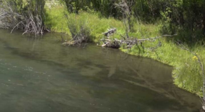 Read River How to Read a River Perfectly - CatchMeFishing
