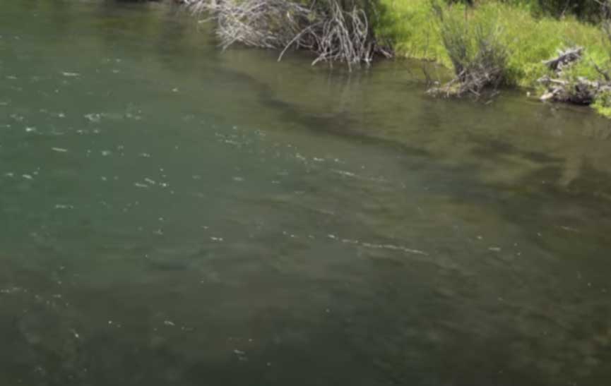 reading a river water seams