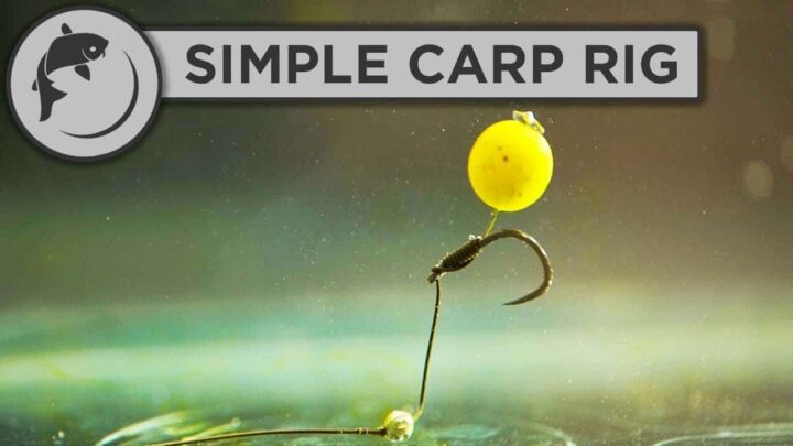 How to tie a simple carp rig
