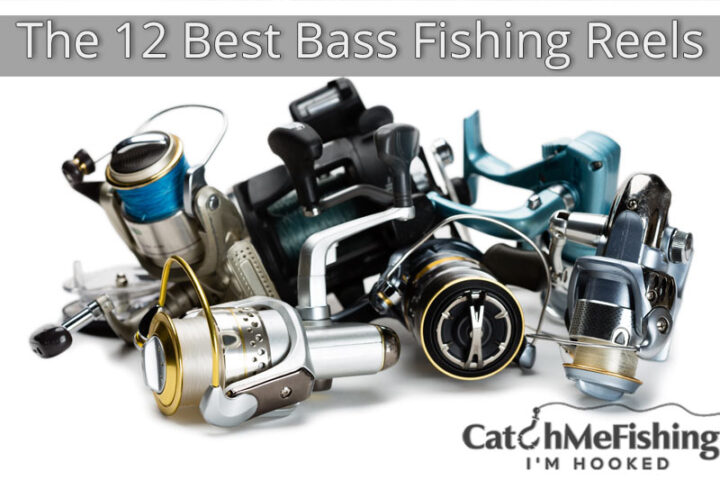 The 12 best bass fishing reels
