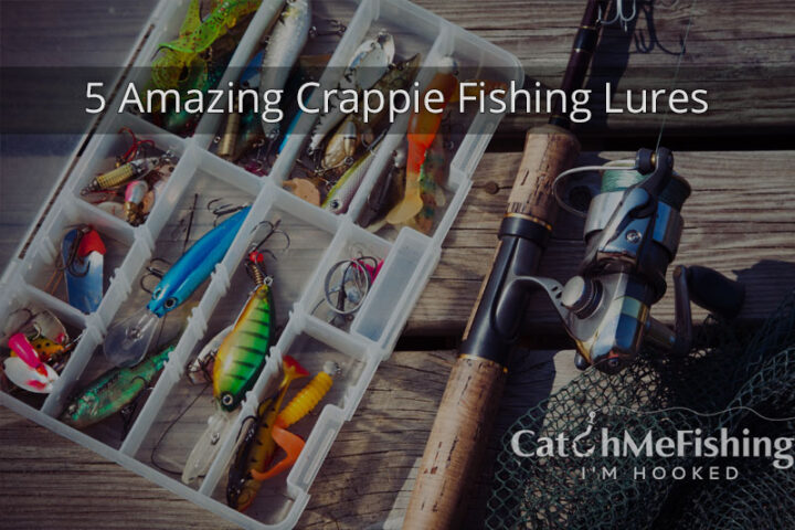 5 Amazing Crappie Fishing Lures
