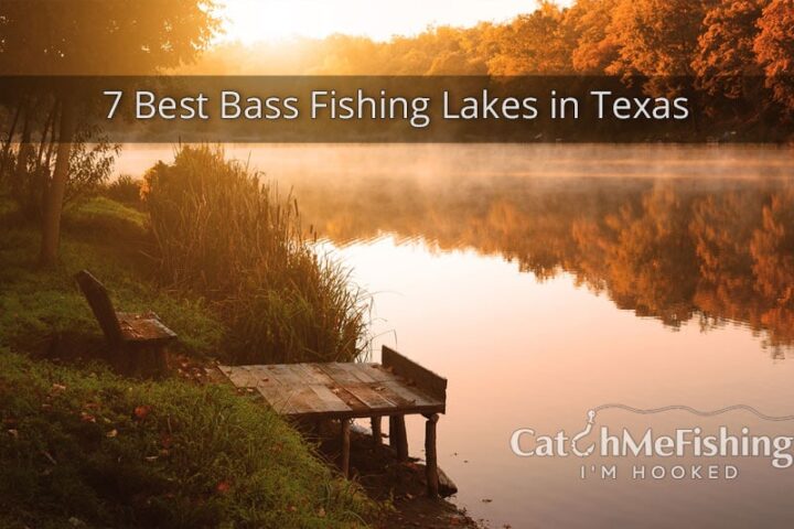 7 Best Bast Fishing Lakes in Texas