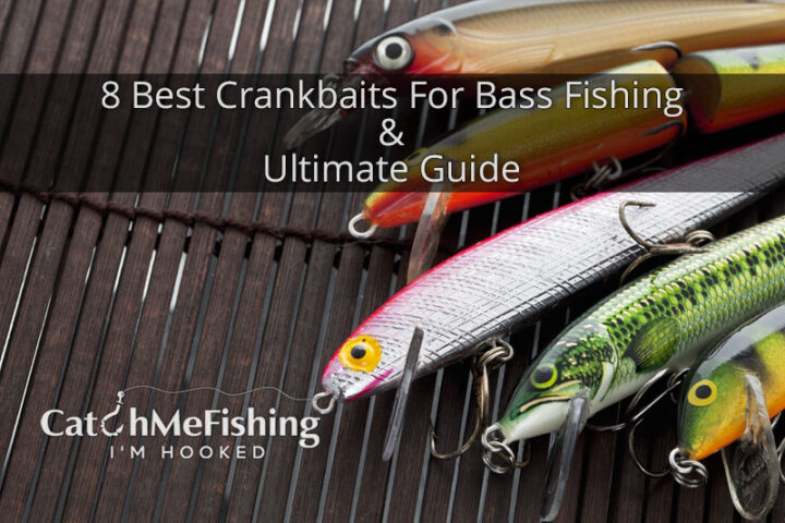 8 Best Crankbaits For Bass Fishing - Ultimate Guide & Review