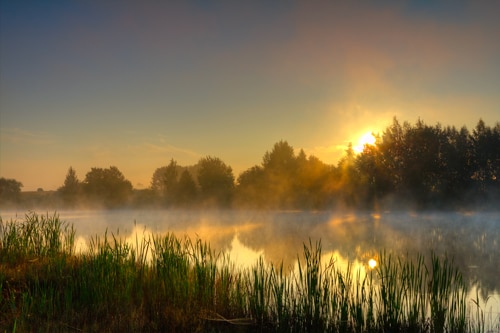 Bass Fishing in the Morning