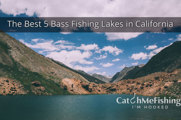 Best-Bass-Fishing-in-California-5-Amazing-Lakes