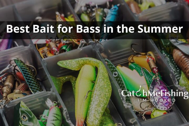 Best bait for bass in the Summer