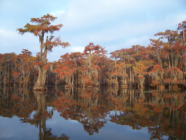 Caddo Lake Lakes in Texas