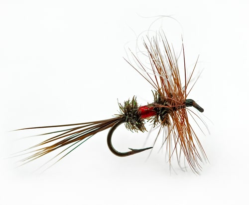Dry fly trout fishing