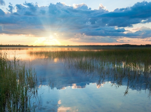 Bass fishing on a lakeat dusk in the summer 