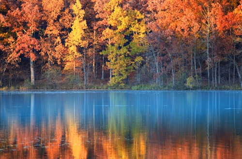 Fall morning bass fishing