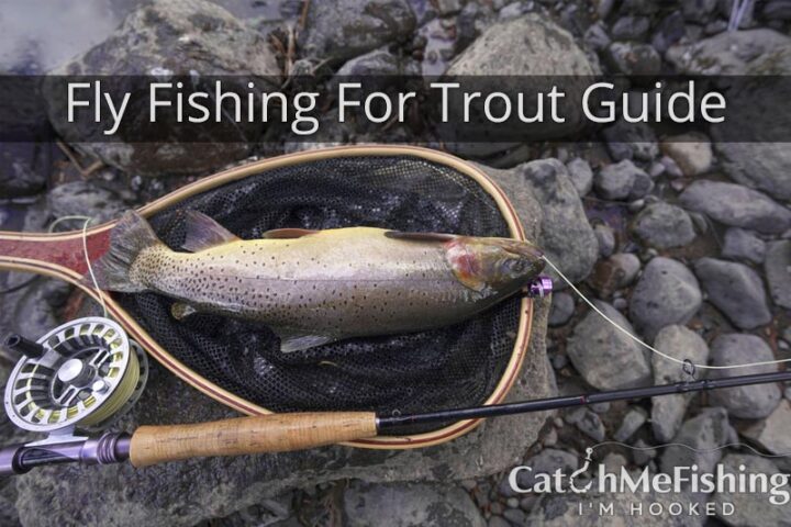 Fly Fishing for Trout Guide