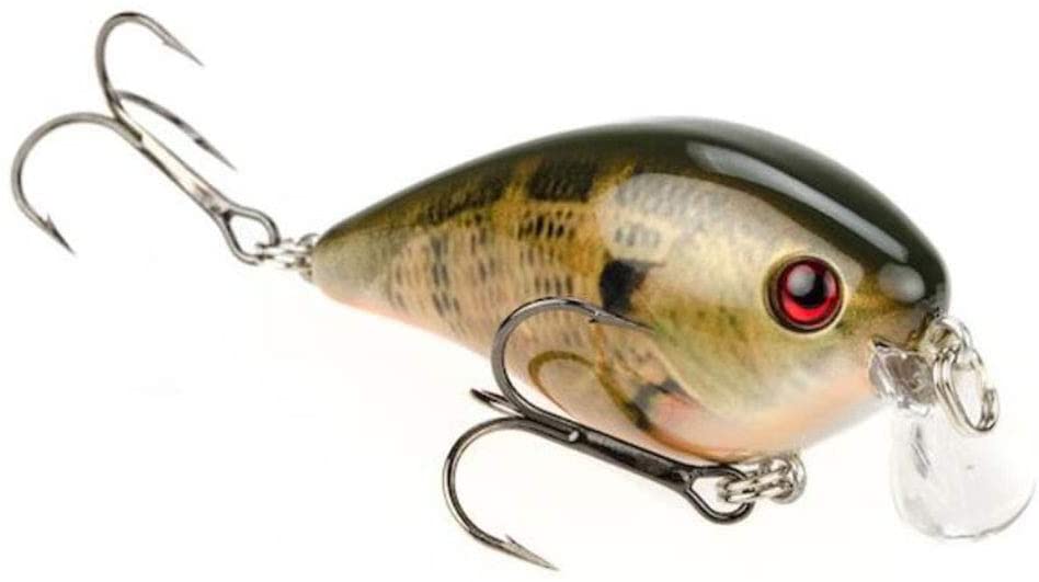 Crankbait for bass in the summer