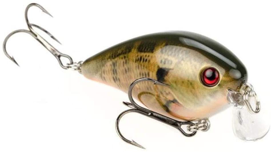 STRIKE KING KVD SHALLOW SQUARE BILL CRANKBAIT best crankbait