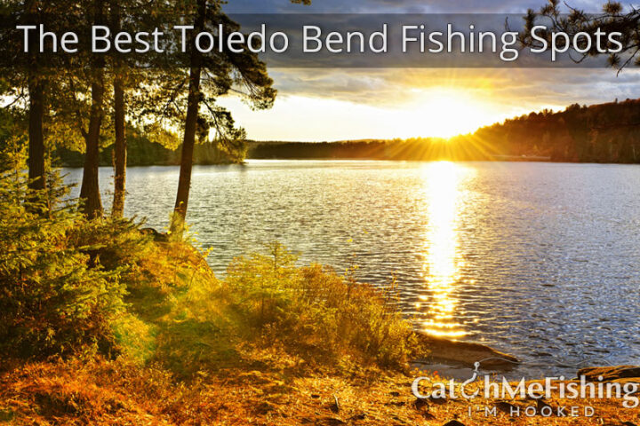 The Best Toledo Bend Fishing Spots