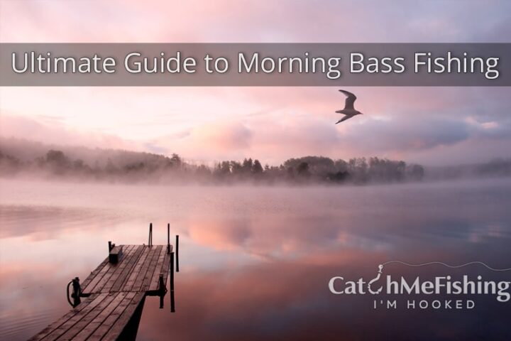 Ultimate Guide to Morning Bass Fishing