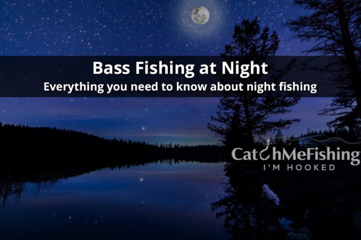 Bass Fishing at Night Guide Learn How to Catch Bass at Night