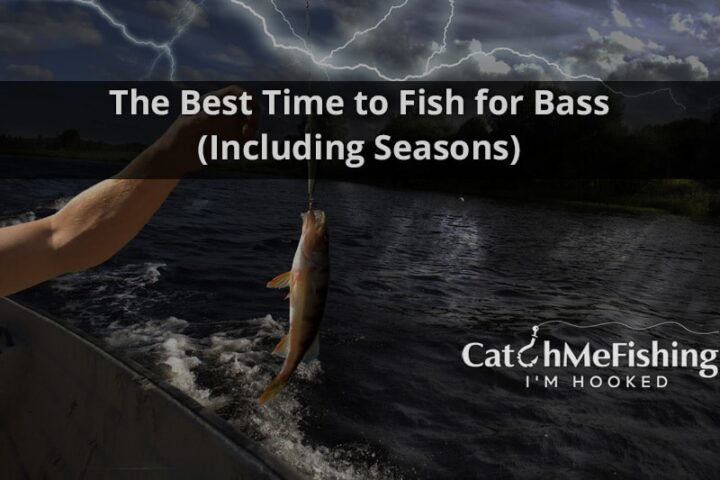 The Best Time to Fish for Bass Including Seasons