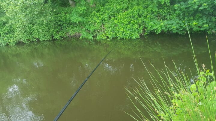 Fishing on pole at foxhouses fishery