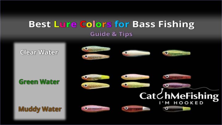 Best Lure Colors for Bass Fishing