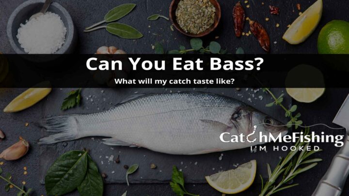 Can You Eat Bass How Will My Amazing Catch Taste
