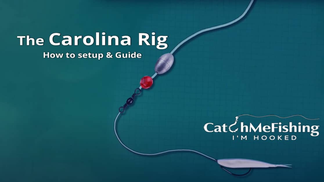 How to Carolina rig a Senko