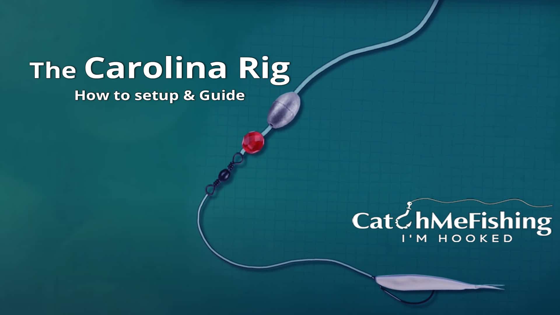 Carolina rig catchmefishing