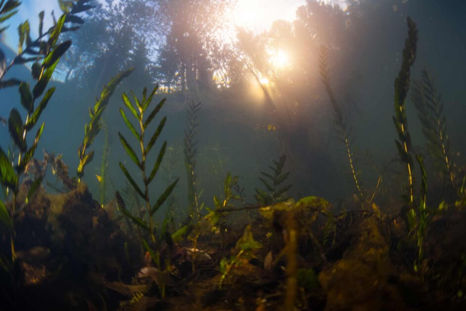 Clear underwater lake