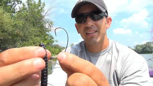 Hook and Worm for Texas Rig