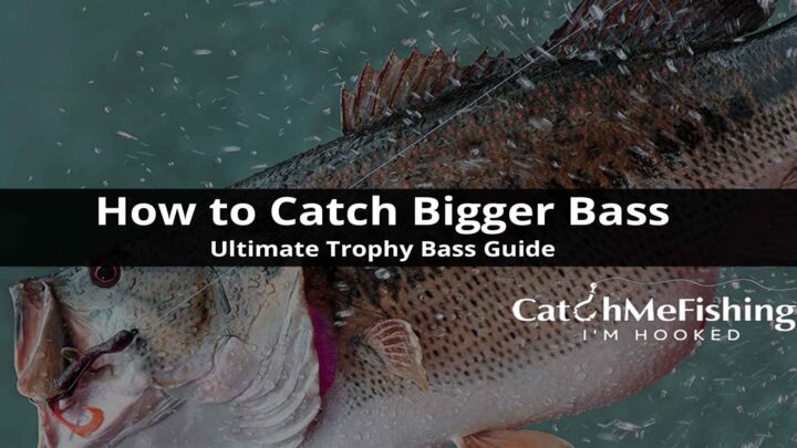 How to Catch Bigger Bass Ultimate Trophy Bass Guide