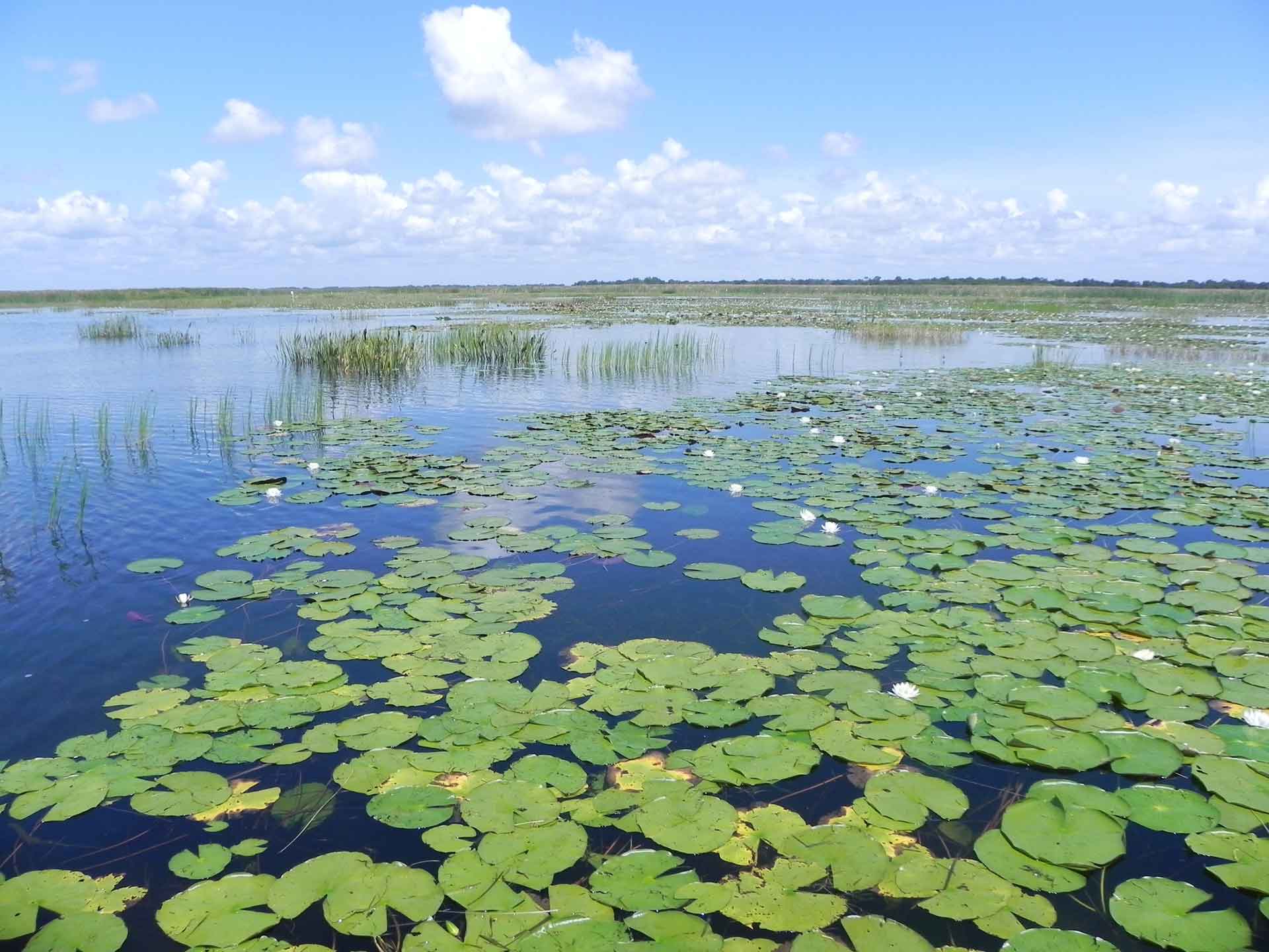 Lake Tohopekaliga Florida