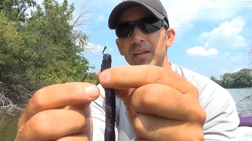 Slide Worm on to the Hook for Texas Rig