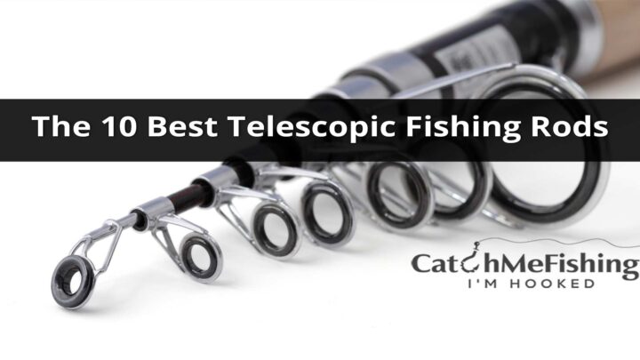 The 10 Best Telescopic Fishing Rods