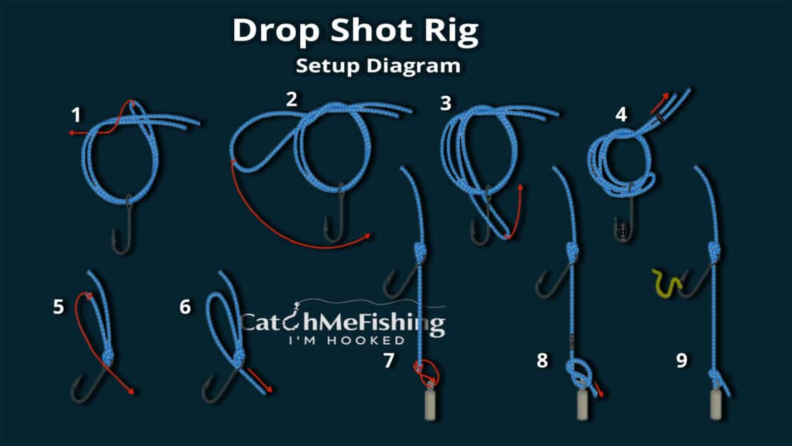 Drop shot rig diagram setup for winter bass fishing success