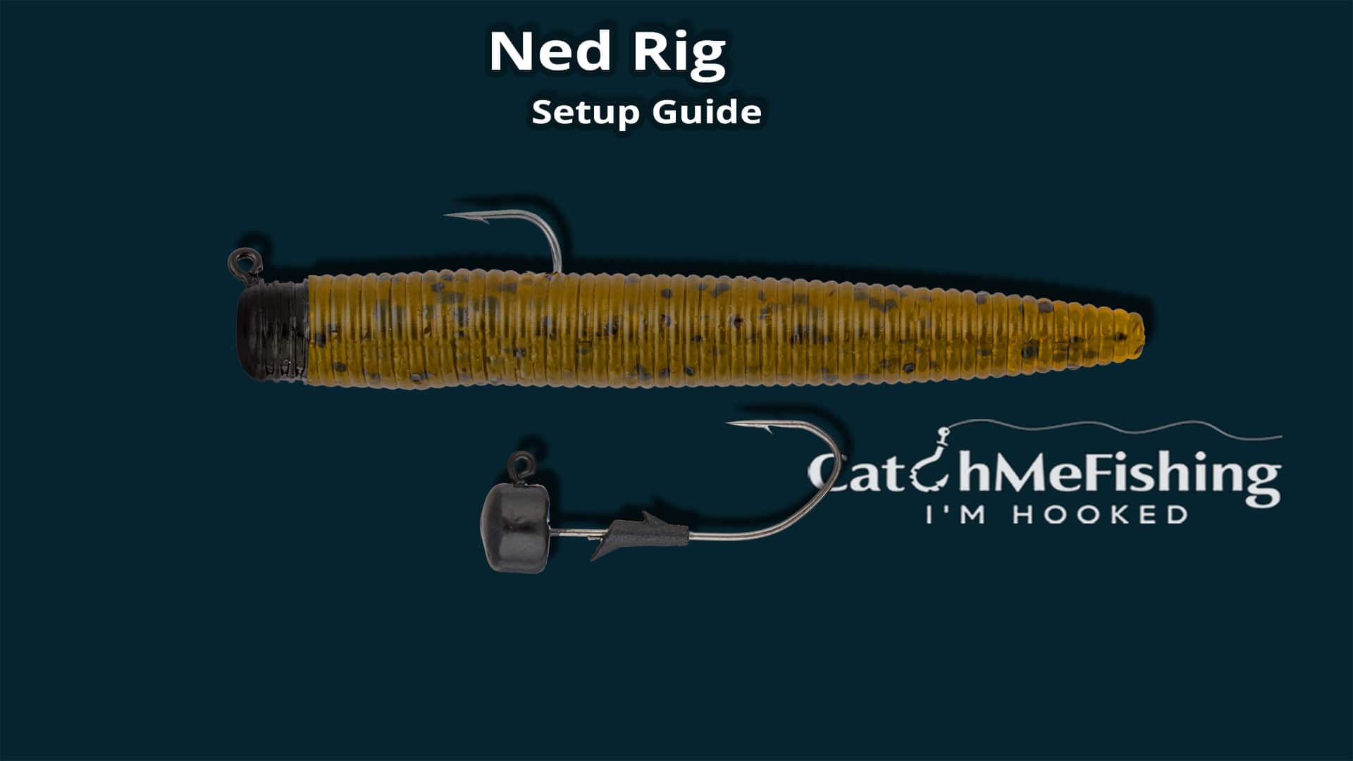 Ned rig setup guide
