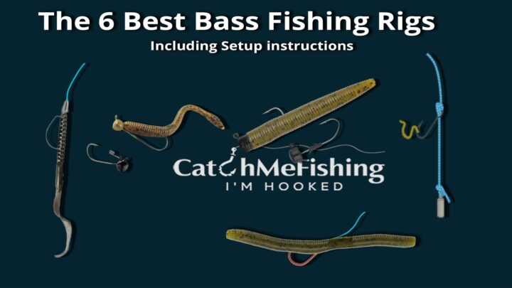 The 6 Best Bass Fishing Rigs with Setup Instructions