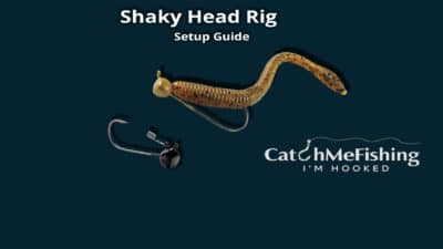 The 6 Best Bass Fishing Rigs with Setup Instructions - CatchMeFishing