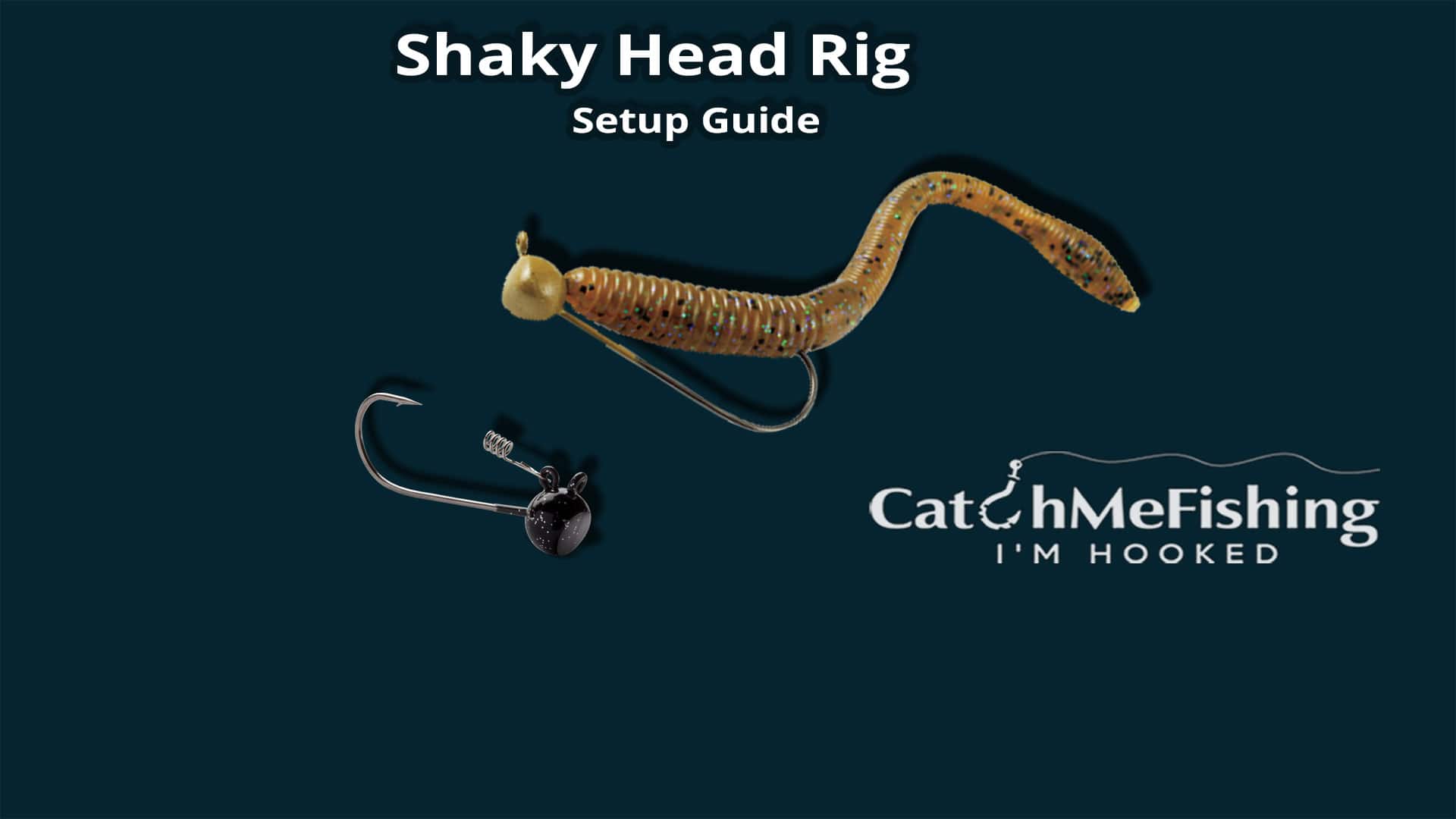 shaky head rig setup guide