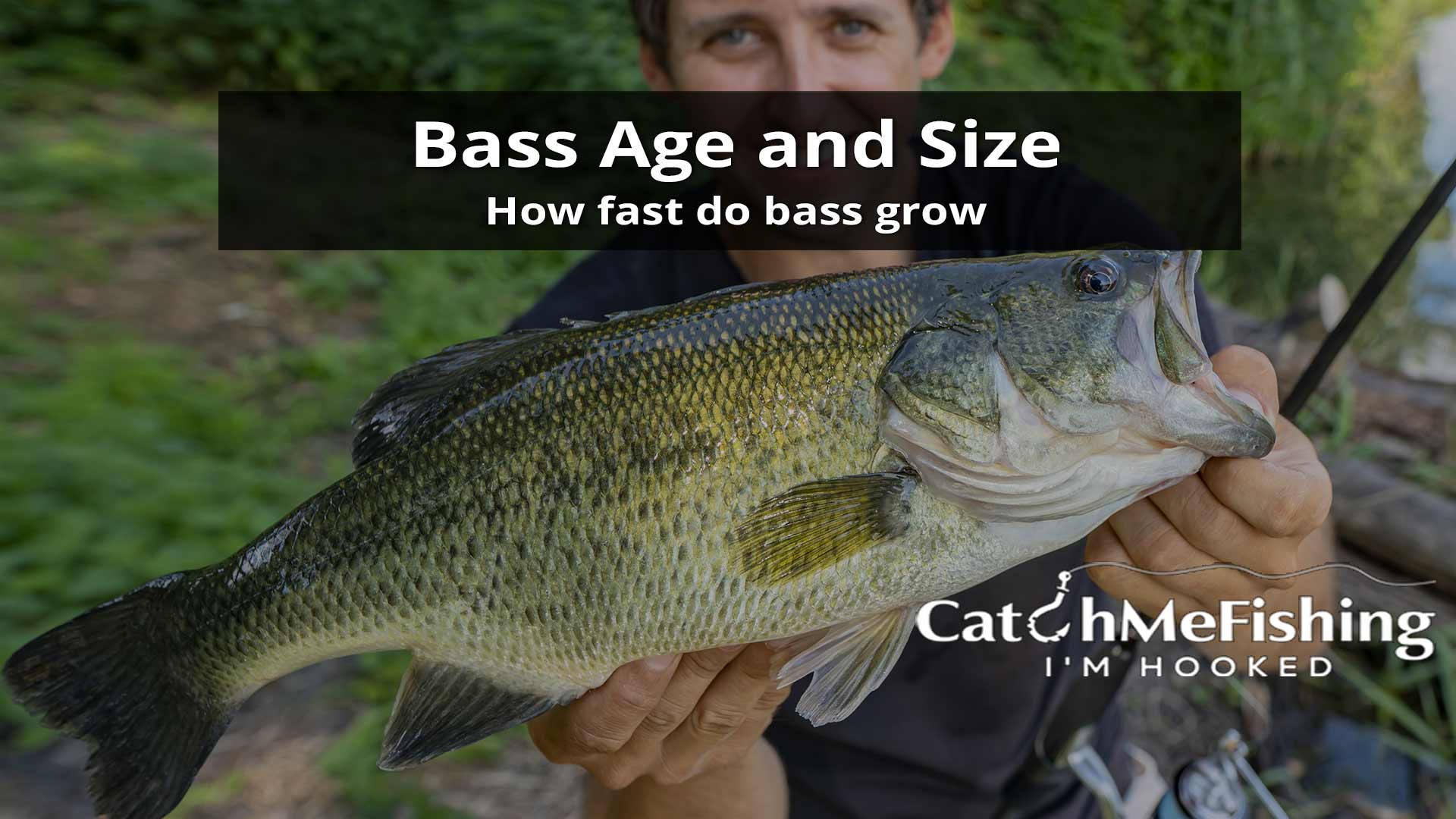 Bass Age and Size: How Fast do Bass Grow - CatchMeFishing