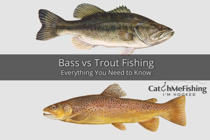 Bass vs Trout Fishing