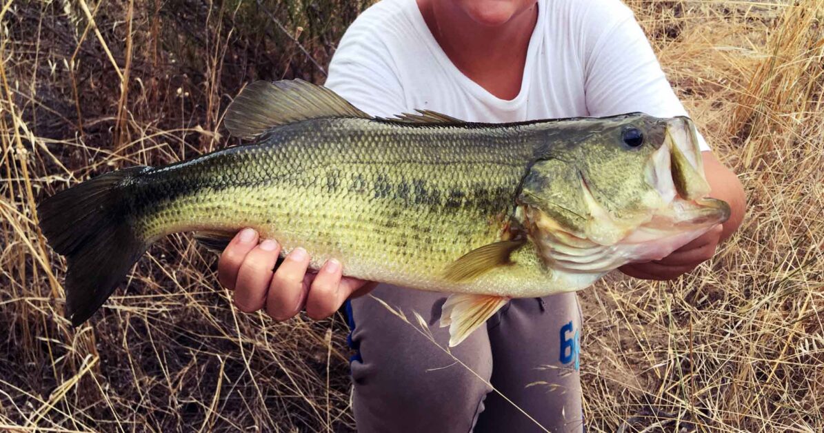 Fisherman holding a bass horizontally 1